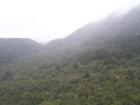 thumbs/NZ_Riki_1329.jpg