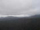 thumbs/NZ_Riki_1330.jpg