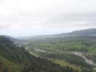 thumbs/NZ_Riki_1334.jpg
