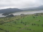 thumbs/NZ_Riki_1335.jpg
