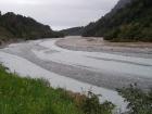 thumbs/NZ_Riki_1342.jpg