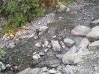 thumbs/NZ_Riki_1344.jpg