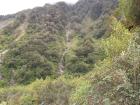 thumbs/NZ_Riki_1345.jpg