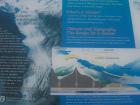 thumbs/NZ_Riki_1346.jpg