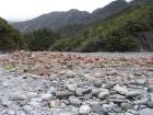 thumbs/NZ_Riki_1352.jpg