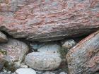 thumbs/NZ_Riki_1353.jpg