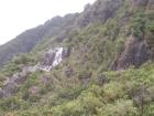 thumbs/NZ_Riki_1354.jpg