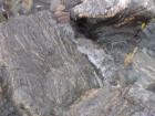 thumbs/NZ_Riki_1355.jpg