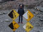 thumbs/NZ_Riki_1364.jpg