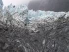 thumbs/NZ_Riki_1366.jpg