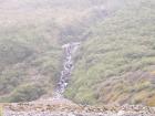 thumbs/NZ_Riki_1374.jpg