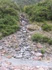 thumbs/NZ_Riki_1375.jpg