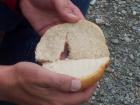 thumbs/NZ_Riki_1376.jpg