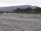 thumbs/NZ_Riki_1377.jpg