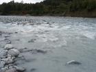 thumbs/NZ_Riki_1378.jpg