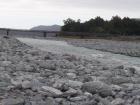 thumbs/NZ_Riki_1379.jpg