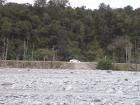 thumbs/NZ_Riki_1380.jpg