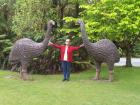 thumbs/NZ_Riki_1381.jpg