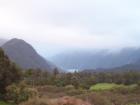 thumbs/NZ_Riki_1383.jpg