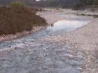 thumbs/NZ_Riki_1384.jpg