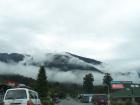 thumbs/NZ_Riki_1387.jpg