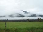 thumbs/NZ_Riki_1388.jpg
