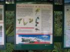 thumbs/NZ_Riki_1395.jpg