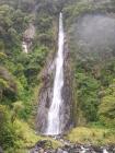 thumbs/NZ_Riki_1396.jpg