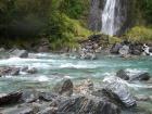 thumbs/NZ_Riki_1397.jpg