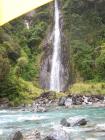 thumbs/NZ_Riki_1398.jpg