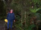 thumbs/NZ_Riki_1399.jpg