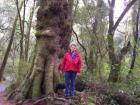 thumbs/NZ_Riki_1401.jpg