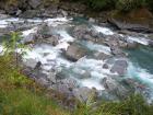 thumbs/NZ_Riki_1403.jpg