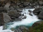 thumbs/NZ_Riki_1404.jpg