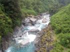 thumbs/NZ_Riki_1405.jpg