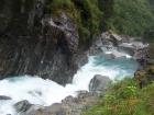 thumbs/NZ_Riki_1406.jpg