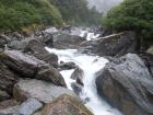 thumbs/NZ_Riki_1407.jpg
