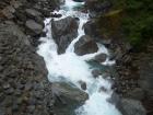 thumbs/NZ_Riki_1409.jpg