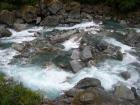 thumbs/NZ_Riki_1410.jpg