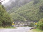 thumbs/NZ_Riki_1411.jpg