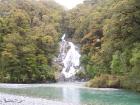 thumbs/NZ_Riki_1412.jpg