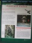 thumbs/NZ_Riki_1415.jpg