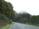 thumbs/NZ_Riki_1416.jpg