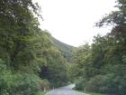thumbs/NZ_Riki_1417.jpg