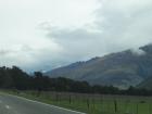 thumbs/NZ_Riki_1418.jpg