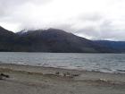 thumbs/NZ_Riki_1419.jpg