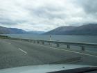 thumbs/NZ_Riki_1422.jpg