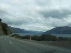 thumbs/NZ_Riki_1423.jpg