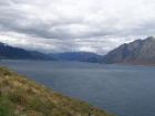 thumbs/NZ_Riki_1426.jpg