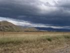 thumbs/NZ_Riki_1427.jpg